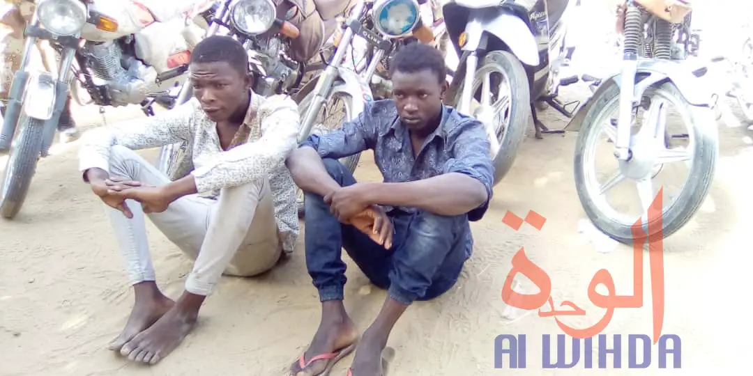 Tchad : la gendarmerie met la main sur des voleurs de motos et trafiquants. © Mahamat Abdramane Ali Kitire/Alwihda Info