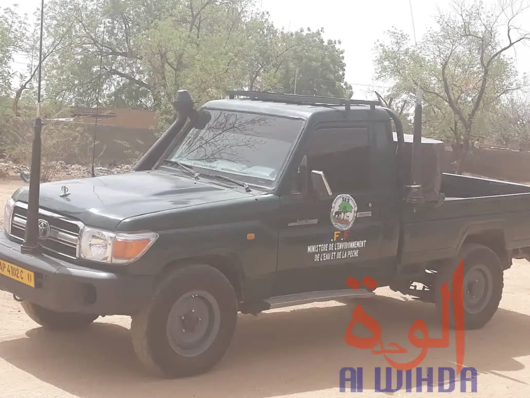 Tchad : 600 sacs de charbon et 5 véhicules chargés de bois interceptés au Ouaddaï. © Abba Issa/Alwihda Info