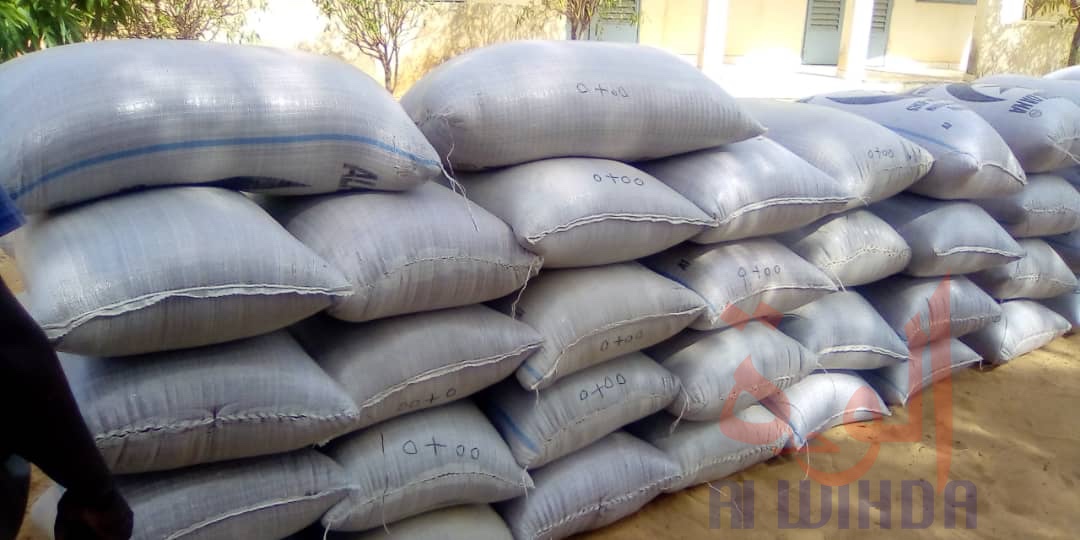 Tchad : le Mayo Kebbi Ouest reçoit plusieurs tonnes d'aide alimentaire. © Foka Mapagne/Alwihda Info