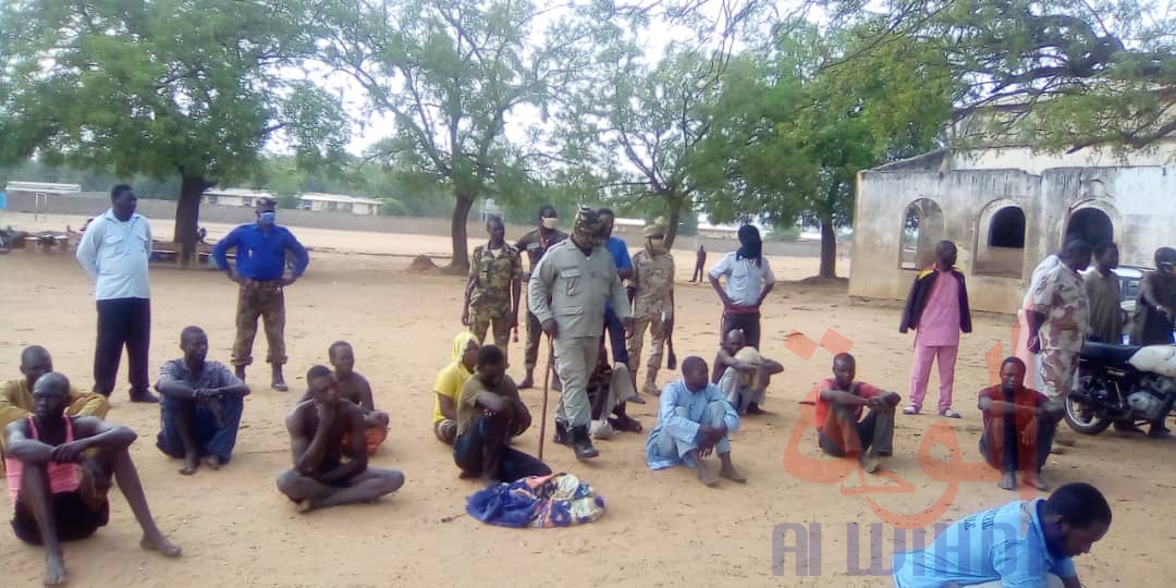 Tchad : 18 présumés malfrats arrêtés au Mayo Kebbi Ouest. © Foka Mapagne/Alwihda Info Tchad : 18 présumés malfrats arrêtés au Mayo Kebbi Ouest. © Foka Mapagne/Alwihda Info