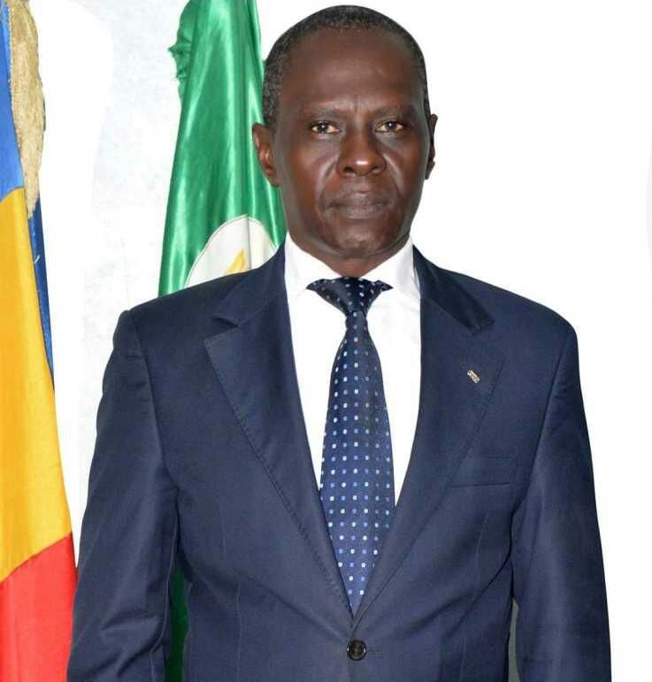 Tchad - Covid-19 : dépistage, confinement local, isolement et soins, les propositions de l'UDP Tchad - Covid-19 : dépistage, confinement local, isolement et soins, les propositions de l'UDP