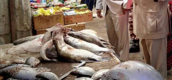 Des poissons vendus dans un marché à N'Djamena. © DR
