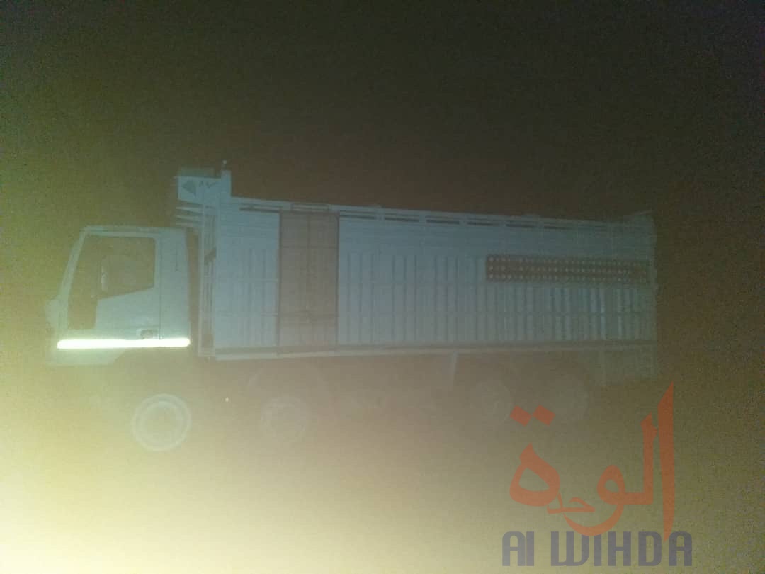 Tchad - Covid-19 : ils se cachent dans un camion pour contourner les mesures. © Hassan Djidda Hassan/Alwihda Info