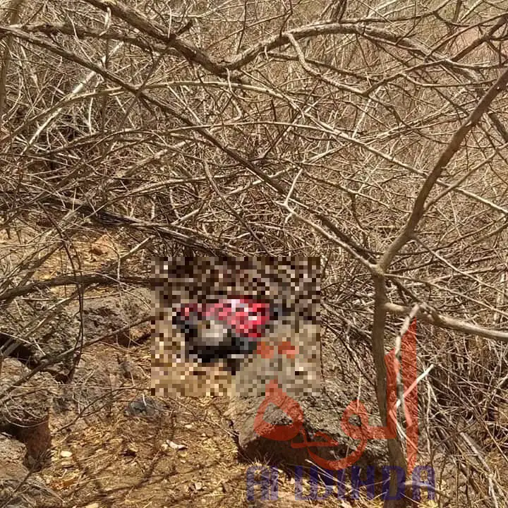 Un homme âgé retrouvé mort sur une colline, non loin du village Djabalène au Sila, le 25 mai 2020. © Mahamat Issa Gadaya/Alwihda Info
