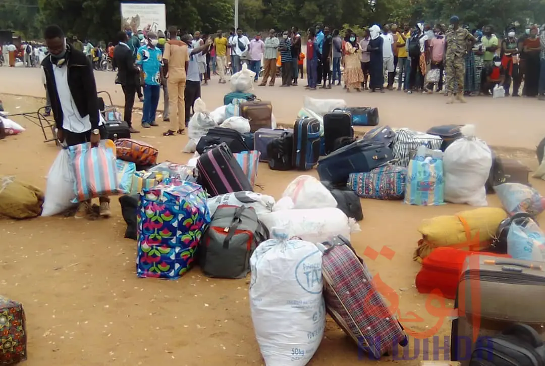 Tchad : Les étudiants repartent au Cameroun pour la reprise des cours. © Frédéric Ngardodim/Alwihda Info