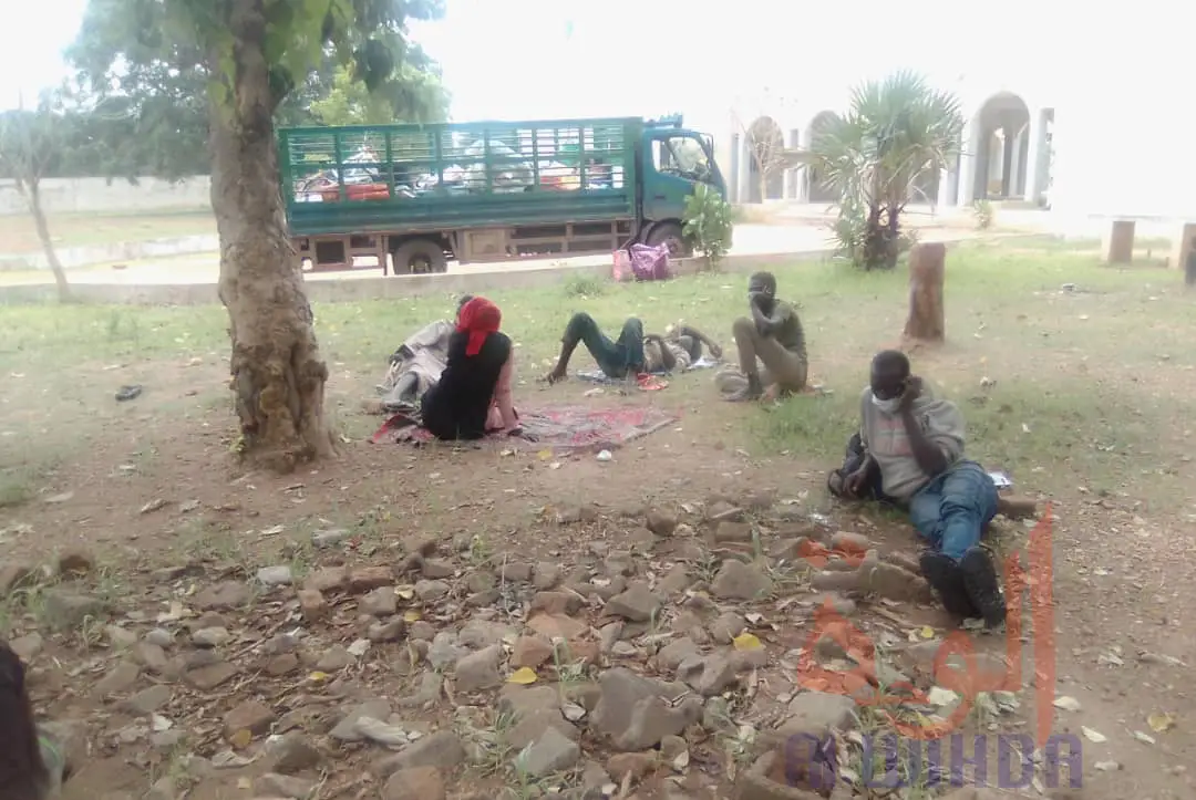 Tchad - Covid-19 : 27 voyageurs frauduleux interpellés à 25 km de Doba. © Frédéric Ngardodim/Alwihda Info