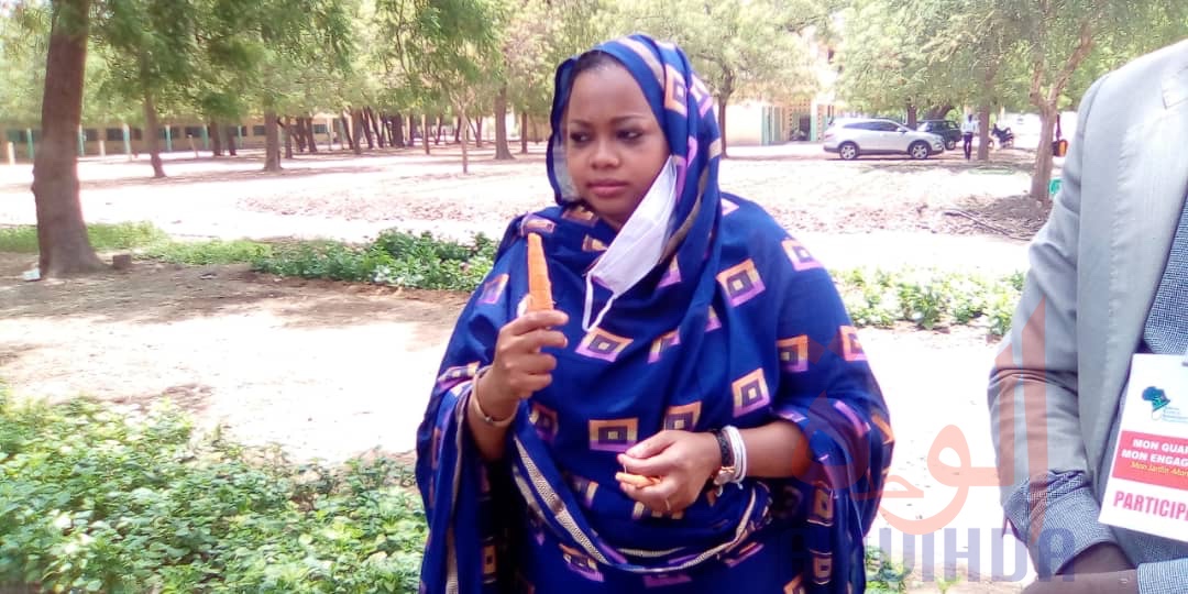 Tchad : l'heure de la récolte pour les jardins potagers du projet AyA