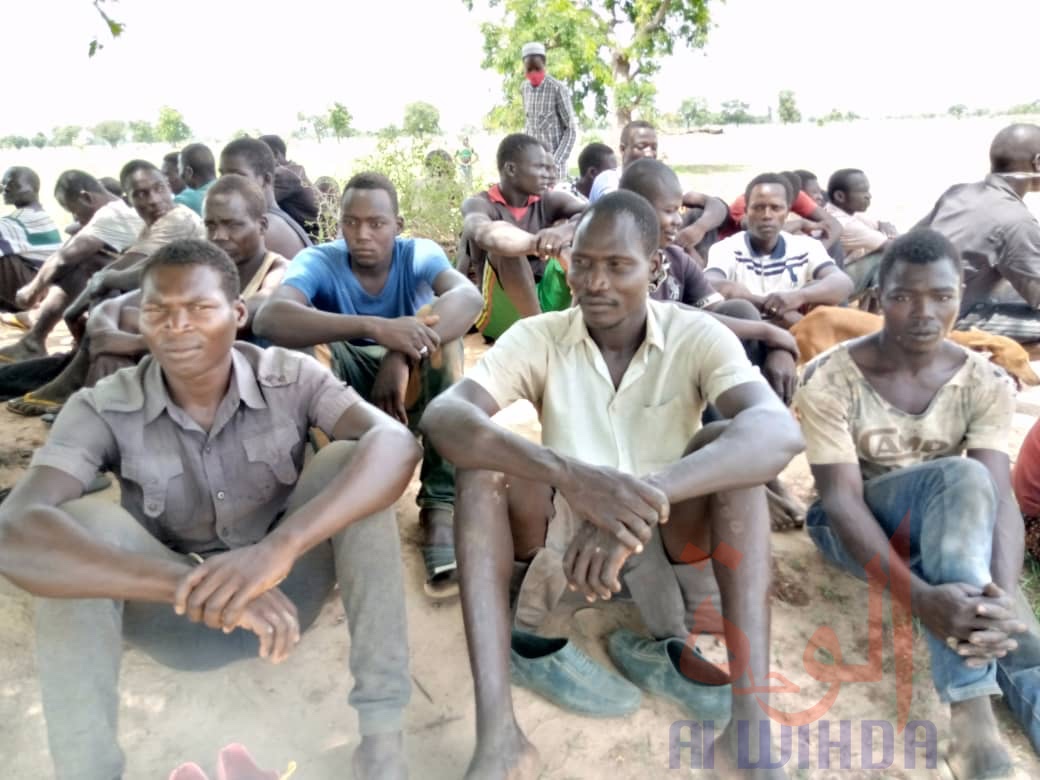 Tchad : deux antilopes chevalines tuées à Kélo, 58 arrestations. © Denis Mbairemadji Axel/Alwihda Info