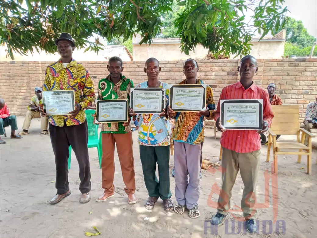 Tchad : les meilleurs planteurs de coton honorés à Mane-Bagué et à Krim-Krim. © Denis Mbairemadji Axel/Alwihda Info