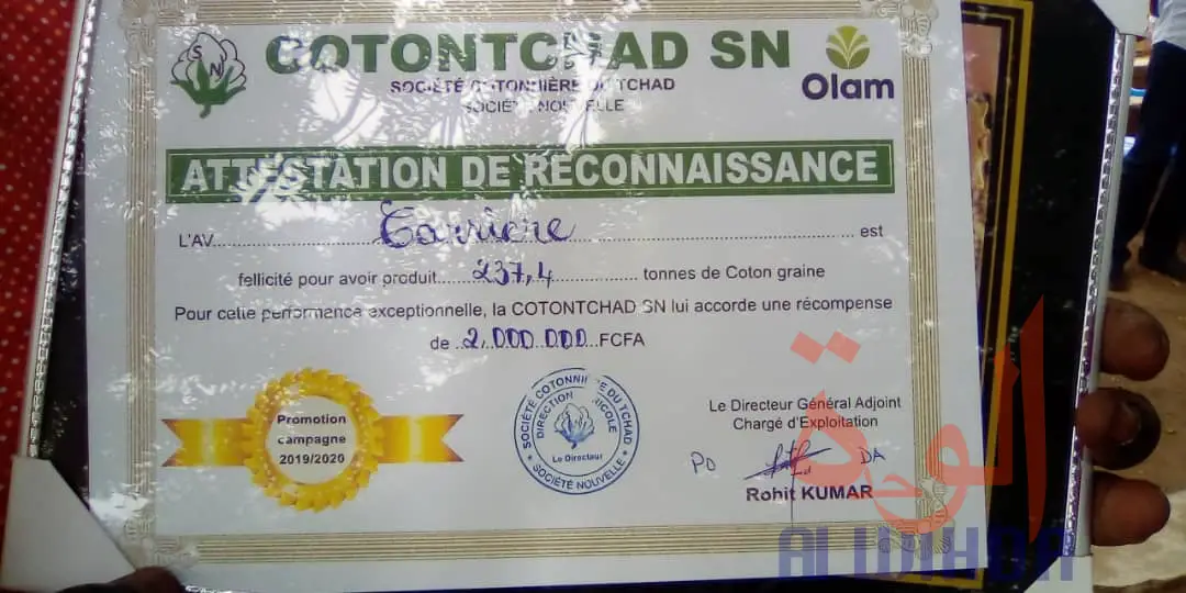 Tchad : au Mayo Kebbi Ouest, les meilleures associations villageoises récompensées. © Foka Mapagne/Alwihda Info