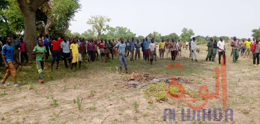 Tchad : 2 morts et 13 blessés dans un conflit près de Laï. © Éric Guedi/Alwihda Info