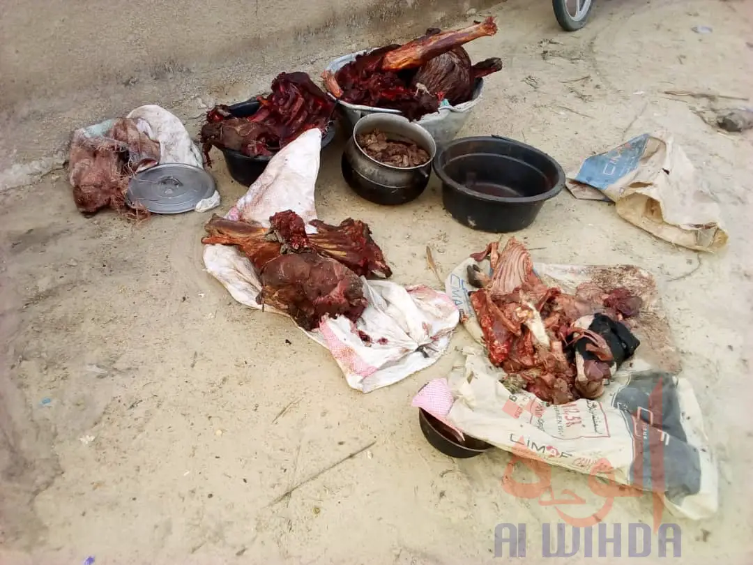 Tchad : cuisine avec de la viande du cadavre d'un cheval, 6 arrestations à Massakory. © Mbainaissem Gédéon Mbeïbadoum/Alwihda Info
