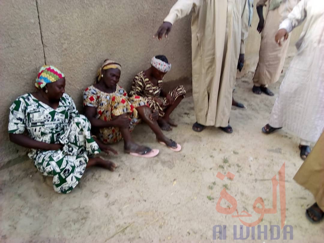 Tchad : cuisine avec de la viande du cadavre d'un cheval, 6 arrestations à Massakory. © Mbainaissem Gédéon Mbeïbadoum/Alwihda Info