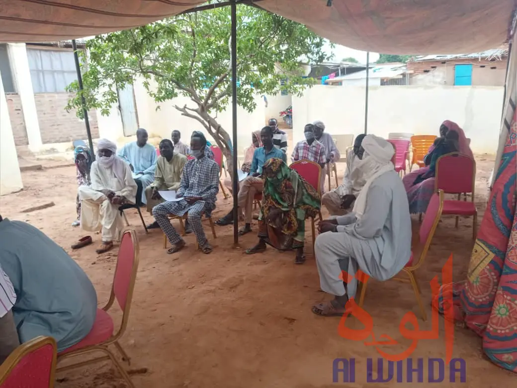 Tchad : au Sila, 1529 porteurs de projets bénéficient d'un financement de l'ONAPE