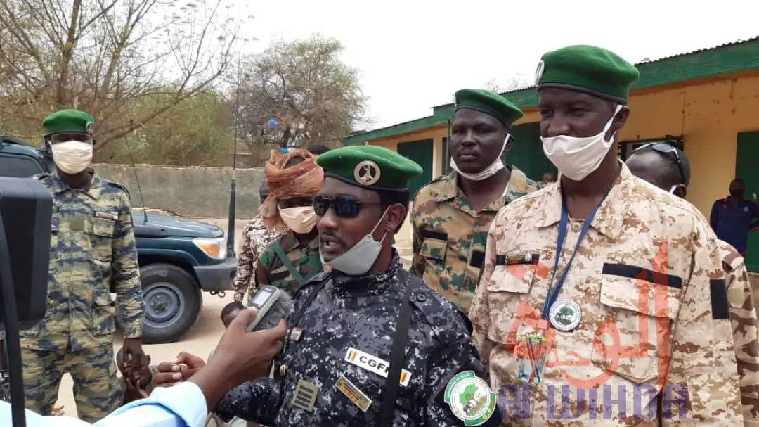 Tchad : braconnage d'espèces protégées, sept individus arrêtés au Ouaddaï