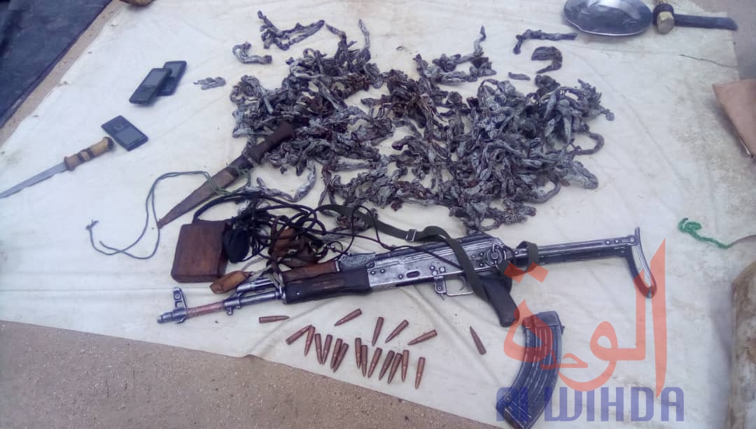 Tchad : braconnage d'espèces protégées, sept individus arrêtés au Ouaddaï