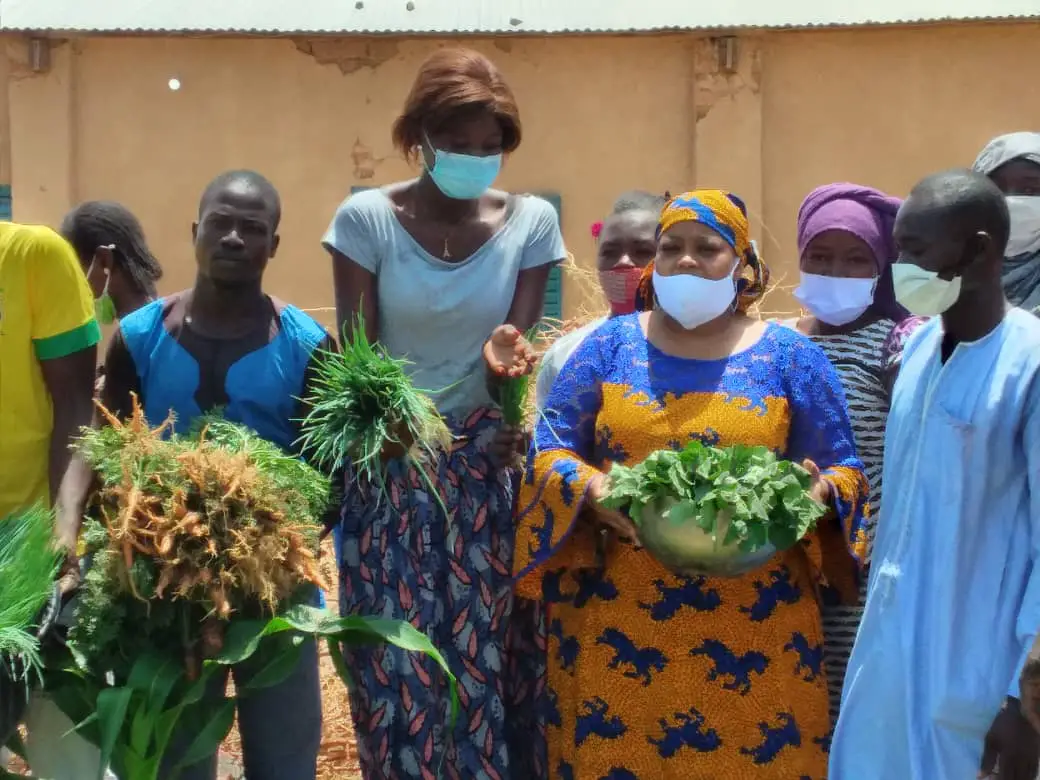Tchad : culture maraichère, des projets agricoles portent leurs fruits à N'Djamena