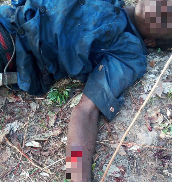 Tchad : un conflit autour d'un champ fait cinq blessés au Mayo Kebbi Ouest Tchad : un conflit autour d'un champ fait cinq blessés au Mayo Kebbi Ouest