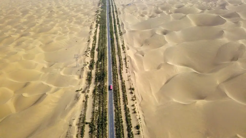 Photo shows the shelter forest along the Tarim Desert Highway. The shelter forest prevents desertification, improves local environment, and ensures smooth transportation. (People's Daily Online)
