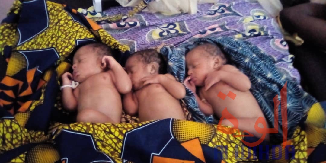 Tchad : une femme accouche de triplés à l'hôpital de Pala. © Foka Mapagne/Alwihda Info