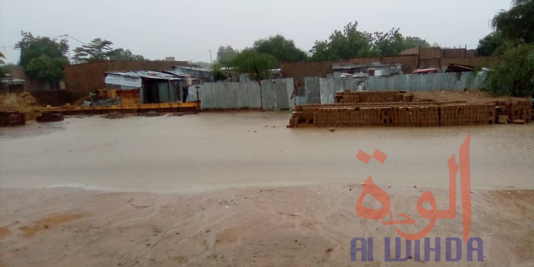 Tchad : des quartiers inondés à N'Djamena après une forte pluie Tchad : des quartiers inondés à N'Djamena après une forte pluie