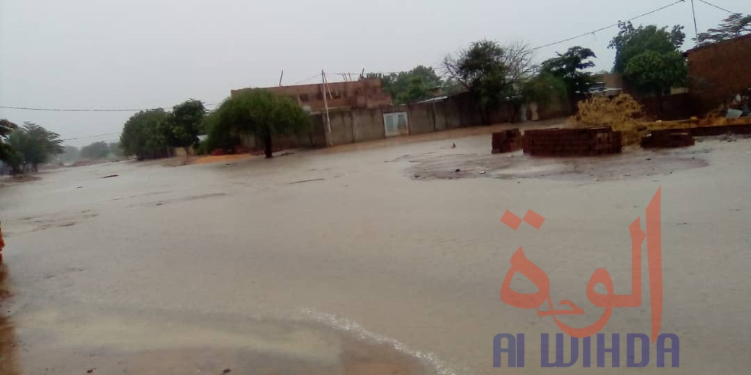 Tchad : des quartiers inondés à N'Djamena après une forte pluie Tchad : des quartiers inondés à N'Djamena après une forte pluie