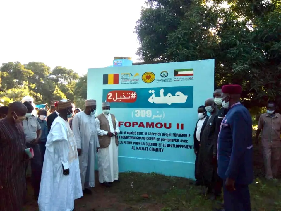 Tchad : des kits solaires et machines à mil offerts au Sud pour développer le monde rural