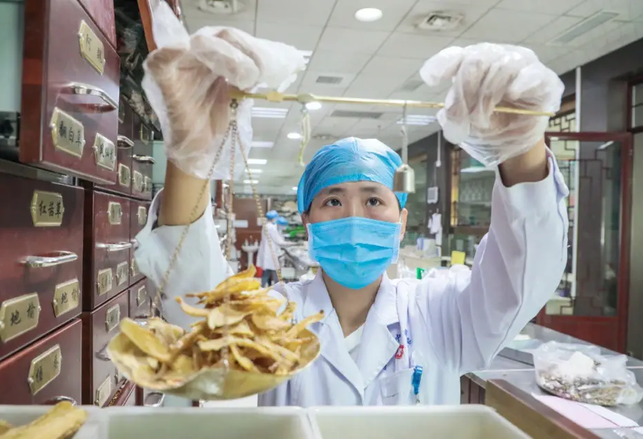TCM doctor Li Xiaxia with Tengzhou Hospital of TCM, east China’s Shandong province weighs TCM herbs, May 7. Photo by Song Haicun/ People’s Daily Online
