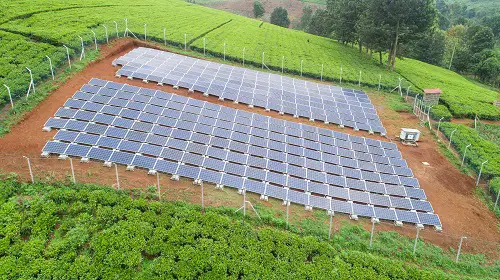 REDAVIA Solar Farm at Menengai Tea Farm (Photo: Business Wire)