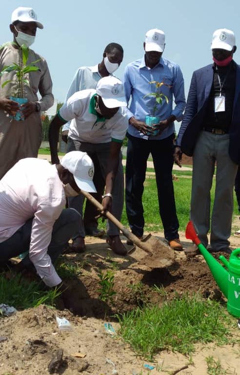 Tchad : planter des arbres pour protéger l'environnement, un autre défi de l'heure. © Malick Mahamat/Alwihda Info