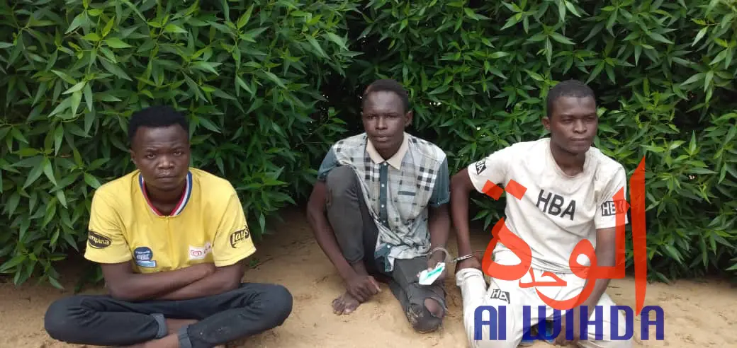 Tchad : plusieurs présumés malfrats arrêtés par la police à N'Djamena. © Ben Kadabio, Malick Mahamat/Alwihda Info