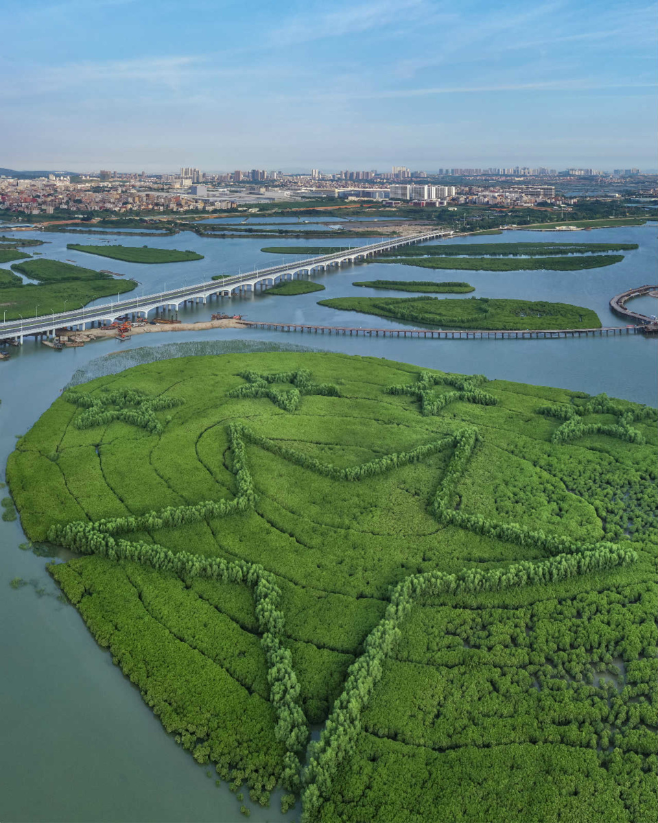 Photo taken on July 25, 2019 shows a wetland park in Xiamen, East China’s Fujian Province. The wetland park is the largest-ever artificial mangrove project in Xiamen. Photo by Su Huaqi/People’s Daily Online
