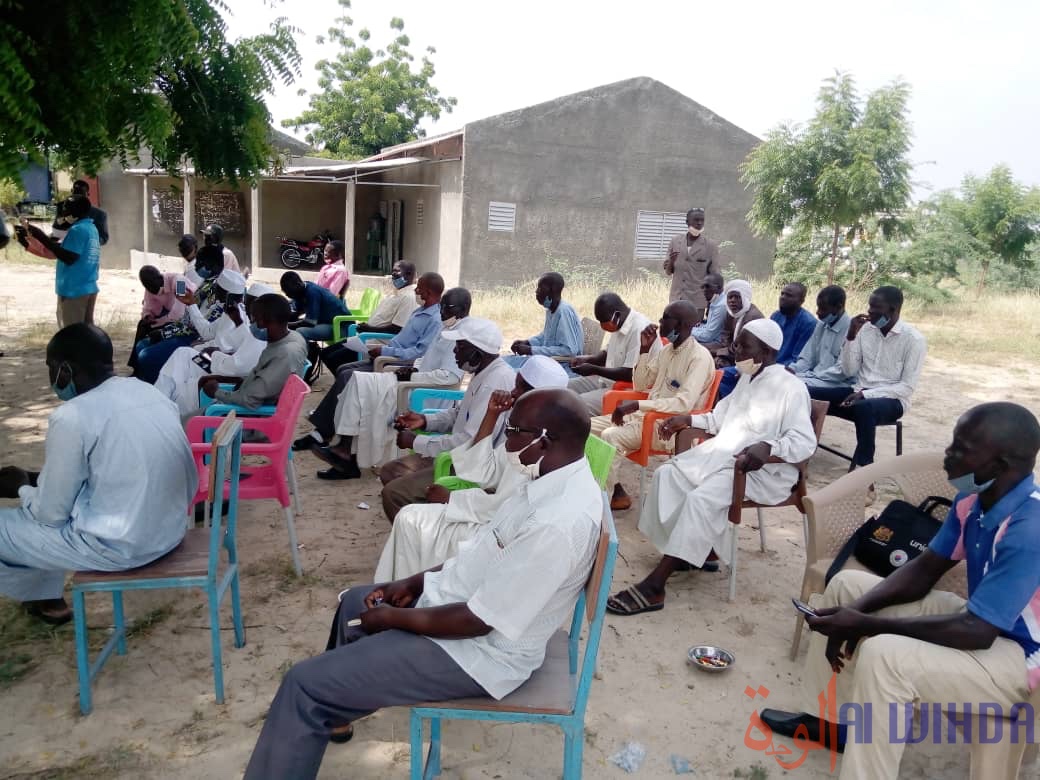 Tchad : les enseignants à l'honneur, dans un contexte de revendications. © Mbainaissem Gédéon Mbeïbadoum/Alwihda Info
