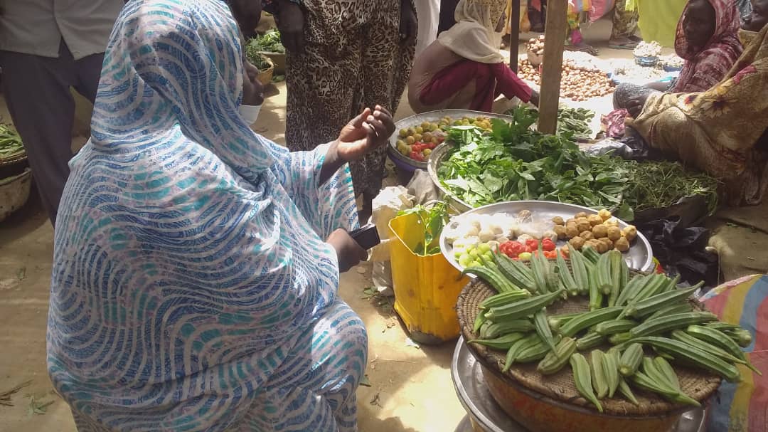Tchad : à Ati, une large sensibilisation dans les marchés pour la révision du fichier électoral. © Hassan Djidda Hassan/Alwihda Info