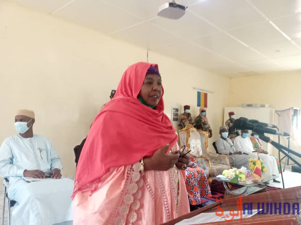 Tchad : vice-présidence, sénat, serment confessionnel, les propositions des pré-forums