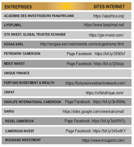 Cameroun : La COSUMAF met en garde contre des activités non réglementées sur le marché financier