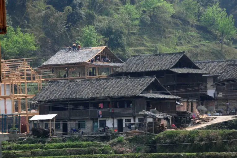Photo taken in March 2009 shows a dilapidated house in renovation in Liping county, Qiandongnan Miao and Dong autonomous prefecture, southwest China's Guizhou province. (Photo by Zhang Jing/People's Daily Online)
