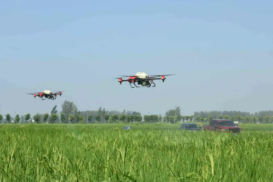 Photo taken on August 27 shows drones carrying out post-flood pest control operations in the rice fields of Wangjiaba township, Funan county, Fuyang city, east China's Anhui province. (Photo by Wang Biao/People's Daily Online)