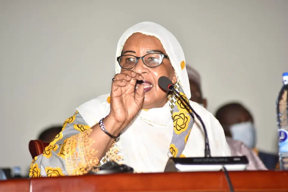 Tchad : poste de vice-président, "on s'achemine vers le mode de désignation"