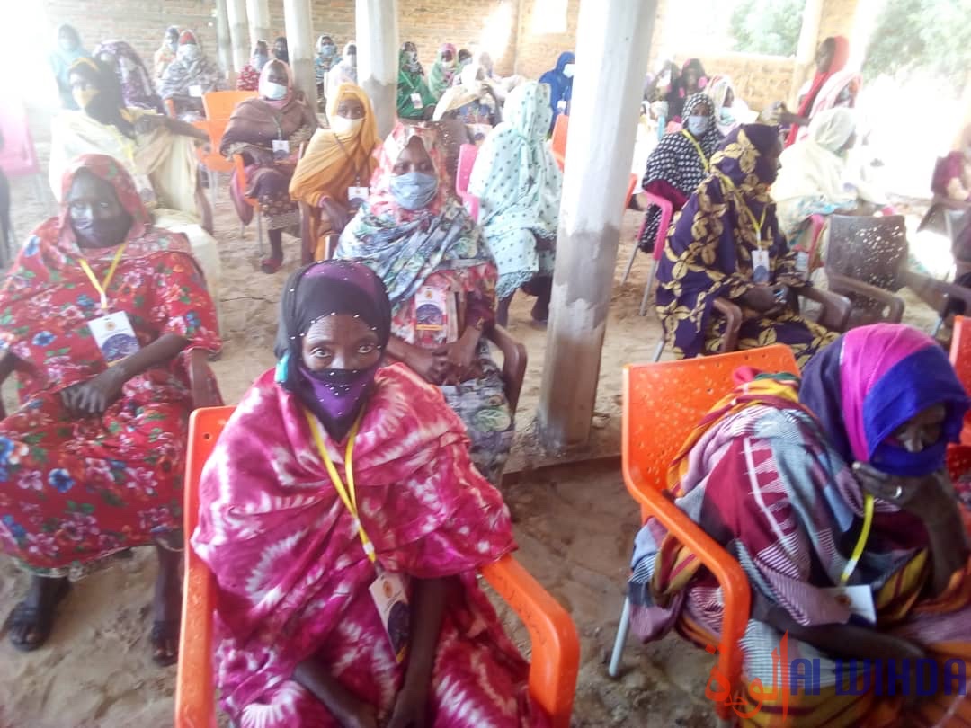 Tchad : un projet de lutte contre la malnutrition maternelle et infantile lancé au Hadjer Lamis. © Mbainaissem Gédéon Mbeïbadoum/Alwihda Info