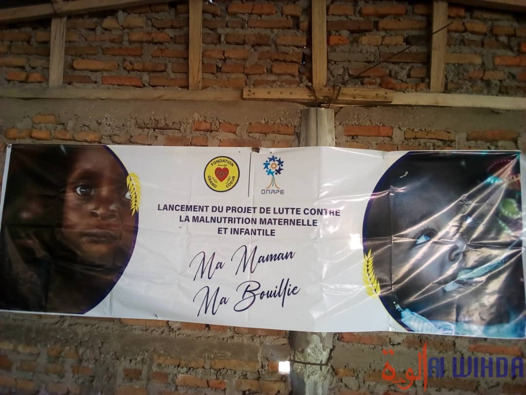 Tchad : un projet de lutte contre la malnutrition maternelle et infantile lancé au Hadjer Lamis. © Mbainaissem Gédéon Mbeïbadoum/Alwihda Info