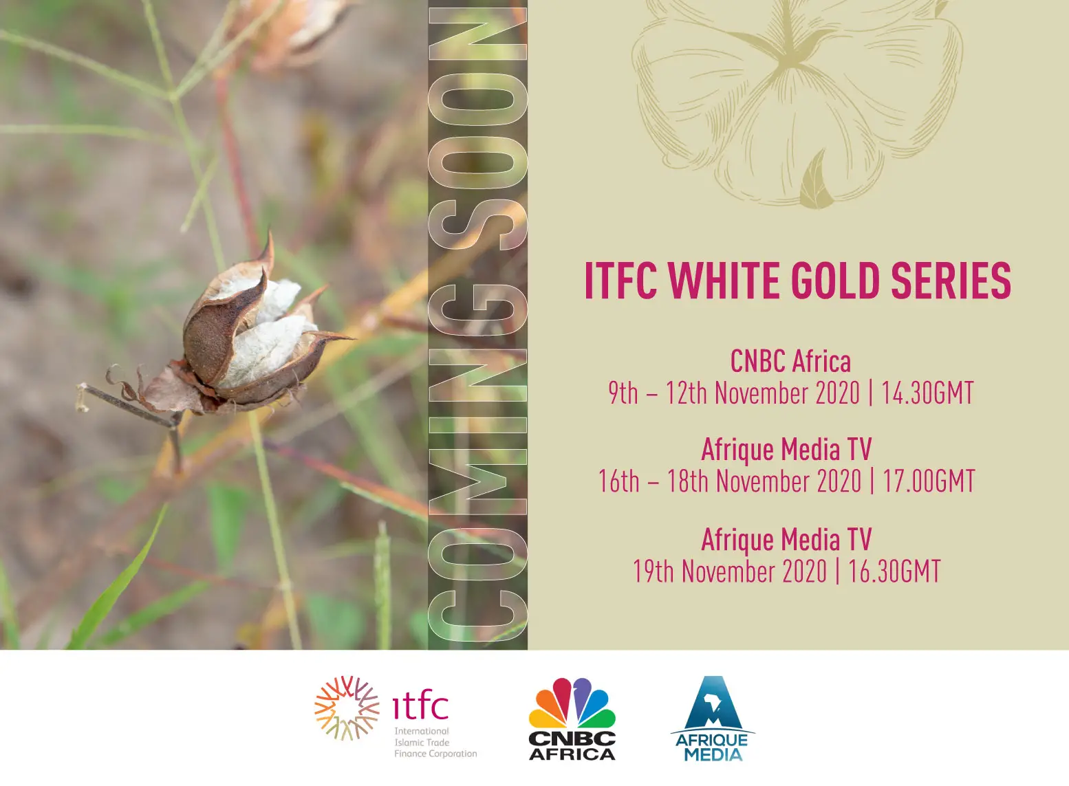 "White Gold Serie", le documentaire sur le secteur du coton en Afrique de l'Ouest