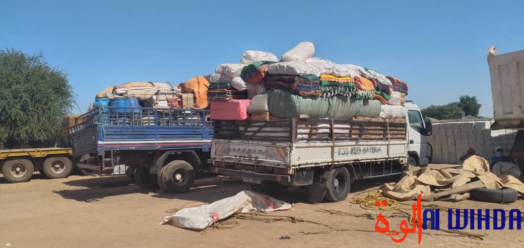 Tchad : des produits illicites saisis par les services des douanes