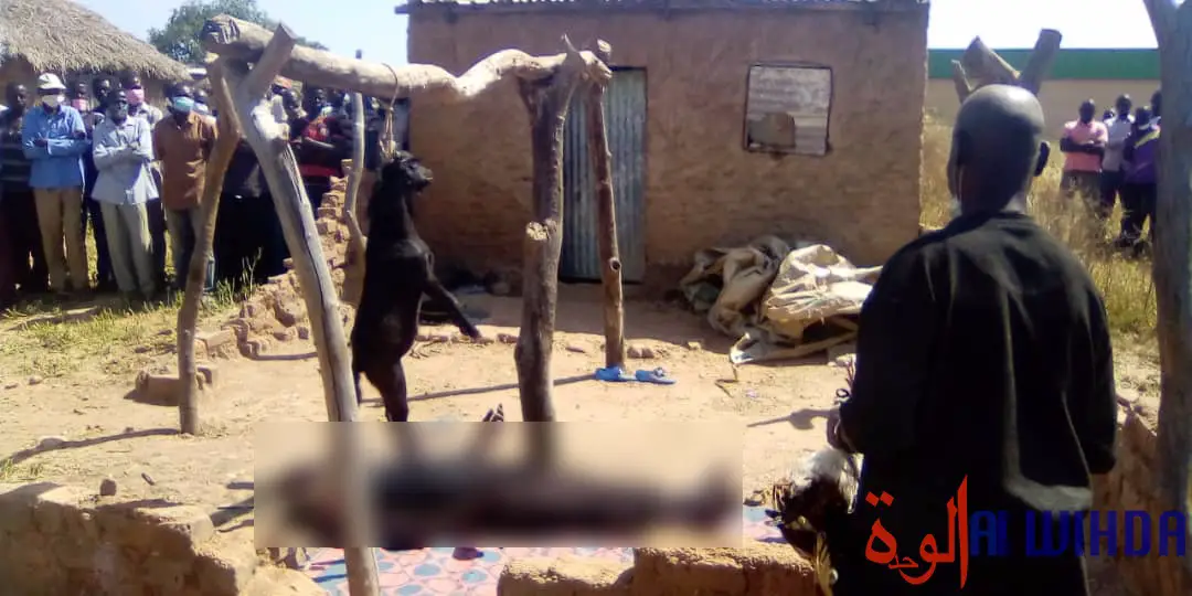 Tchad : ​un mort par pendaison à Pala. © Foka Mapagne/Alwihda Info