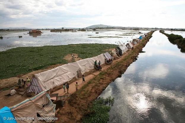 Rapport Greenpeace: L'intensification des événements météorologiques menace les plus vulnérables d'Afrique. © DR