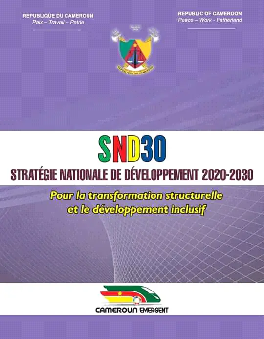 Cameroun : la Stratégie Nationale de Développement adoptée