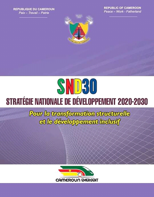 Cameroun : la Stratégie Nationale de Développement adoptée