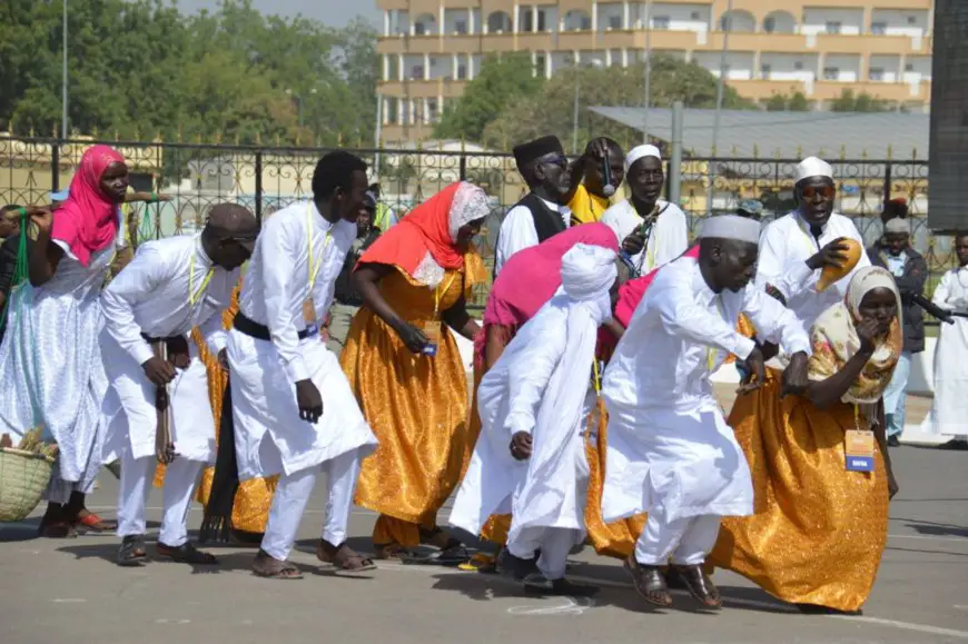 Tchad - Covid-19 : report de l'organisation du Festival Dary, annonce le gouvernement