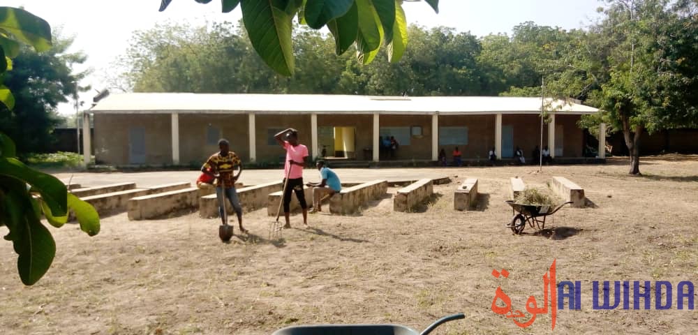 Tchad : la jeunesse s'implique dans l'assainissement à Laï