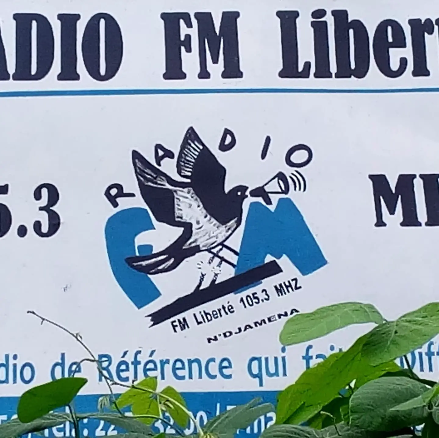 Tchad : la CNDH dépêche une équipe à la radio FM Liberté suite aux incidents